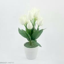 Panjang umur dan murah rejeki,kali ini saya akan berbagi cara membuat. Jual Bunga Tulip Bunga Hias Hiasan Bunga Tulip Bunga Plastik Bunga Meja Hiasan Meja Hiasan Ruangan Meja Tamu Bunga Artificial Di Lapak Mirza Florist Bukalapak