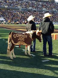 First, this is a smaller stadium with great sight lines. Cowboy Joe Is The Cutest Mascot Ever University Of Wyoming Football Wyoming Cowboys Football Wyoming Football Wyoming Cowboys