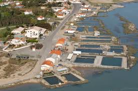 Les Viviers De La Guittiere A Talmont St Hilaire Une Visite S Impose Vendee Viviers Ile De Noirmoutier