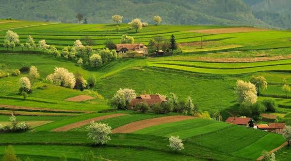 Moderná farmárka 2026: príležitosti pre štart a rozvoj prostredníctvom  sociálnych inovácií a podpory z SP SPP 2023 – 2027. Dovoľujeme si Vás  pozvať na odborný seminár Národnej siete rozvoja vidieka SR "Moderná