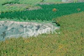 Check spelling or type a new query. Fruit Trees Surrounding Cliff In Washington State Stock Photos Freeimages Com