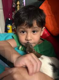 Let's go! Show all your collections. Pokémon,funko pop,mlps,cars,LEGO  Figurines of all kind!