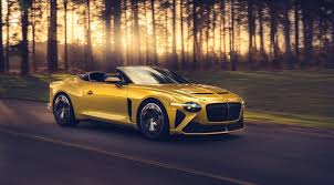 Martin schirling, head of clinical affairs department at bentley. Bentley Bacalar The Ultimate Barchetta Bentley Media