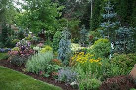Garden Tour Where Conifers And Texture Rule Garden Landscape Design Conifers Garden Garden Types