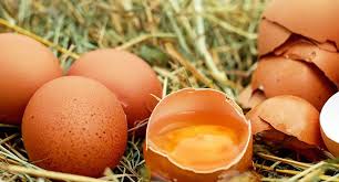 Daftar harga telur ayam per 1 kg peti hari ini di waralaba agen grosir supplier distributor telur ayam terdekat murah terbaru 2020 di kota jakarta pusat, jakarta selatan, jakarta ketetapan data lengkap mengenai harga telur itu sendiri besarnya kecilnya itu sangat tergantung pada nilai jualnya hari ini. Harga Telur Ayam Broiler Hari Ini Rabu 14 April 2021 Nasional Terpantau Stabil Wartanews Indonesia