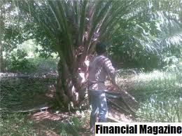 Maybe you would like to learn more about one of these? Bagaimanakah Kos Pengeluaran Kecil Yang Digunakan Untuk Mencari Tahap Pengeluaran Yang Optimum 2021 Talkin Go Money