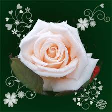 Check spelling or type a new query. I M Sorry Gif Image Smitcreation Com