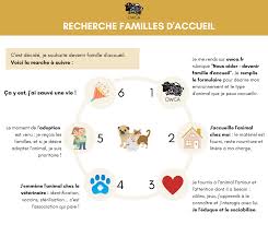Trouvez les adresses les plus proches de chez vous pour faire garder votre chien. Association Owca Recrutement Cherche Familles D Accueil Chats Chiens Lapins Ile De France Vous Ne Partez Pas En Vacances Cet Ete Vous Avez Du Temps Libre Vous Souhaitez Faire Une Bonne