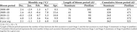 Flowering Phenology Of Eastern Filbert Blight Resistant