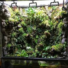Jessica Gadling 90cm X 90cm X 45cm Terrarien Reptilien Terrarium Regenwald Terrarium