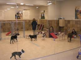 $50 per day for 1 dog. Pet Chauffeur Blog Dog Daycare Pet Daycare Dog Boarding Kennels