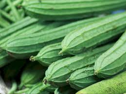 Seperti kumpulan gambar pohon di bawah ini, yang sedikit banyak mengilustrasikan keberagaman itu. Tips Mengolah Sayur Gambas Agar Tidak Terlalu Pahit Indozone Id