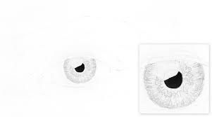 Follow my simple, detailed steps to draw a realistic eye in pencil. How To Draw A Realistic Eye