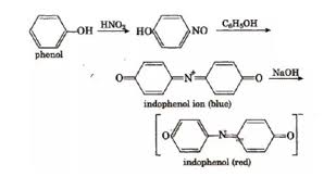 Chemistry Of Liebermann S Nitroso Reaction Brainly In