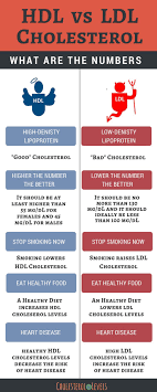 High Density Lipoprotein Hdl Low Density Lipoproteins