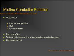 Image result for Cerebellar Function Test
