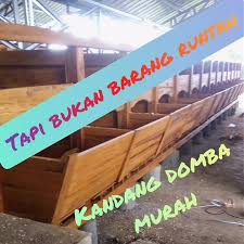 ✓ free for commercial use ✓ high quality images. Kavling Domba Produktif Home Facebook