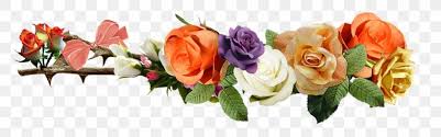Fiori e pensieri laquila, apricot wedding flowers, branch, artificial flower png. Il Paradiso Dei Fiori 2 Yellow Png 960x301px Yellow Artificial Flower Color Cut Flowers Floral Design