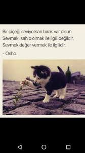 Tc Kara Kartal Adli Kullanicinin Anlamli Hayat Ve Sozler Panosundaki Pin Osho Felsefe Ozlu Sozler
