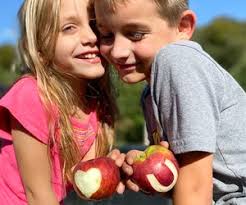 Apple Picking in CT in 2025: Best Apple Farms and Apple Festivals