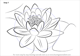 Learn How To Draw A Water Lily Lily Step By Step Drawing Tutorials You can easily draw this swinging flower with a geometry box. learn how to draw a water lily lily
