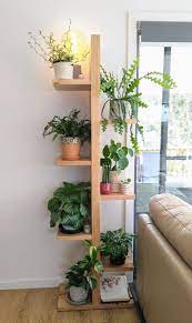 Reddit Houseplants My Plant Shelf Pot Bunga Rak Pot Bunga Dekorasi Tanaman Rumah