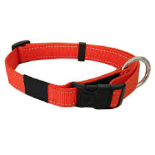 Nylon Webbing Dog Collar Reflective Leash And Harness Pet