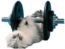 images?q=tbn:ANd9GcRr8MAxtx3Q5Fwz4v76W14bTTDTkbWrOkBVHJfLP5ZQzEBHGE9i