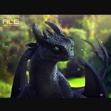 Toothless In Real Life I Prefer The Original Credits For Ace Or Ale I Don T Know Howto How Train Your Dragon How To Train Dragon Httyd Dragons
