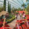 Like most of online stores, old city flowers promo code also offers customers coupon codes. 1