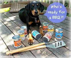 Is Your Bestdogever Ready For Bbq Season Merrick Cat Food Reviews Bbq Dog Food Recipes