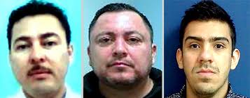 Usaron asesinos a sueldo del CAF contra Lourdes Maldonado