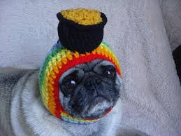 Dogs Crochet Pot Of Gold Hat Dog Hat Rainbow Hats Silly Hats