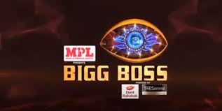 Pin On Watch Bigg Boss 14 Tv Show Online Videos
