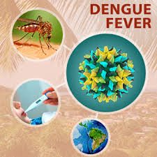 They often resemble the crane flies. Dengue Fever Symptoms Causes Contagious Rash Prevention Vaccine
