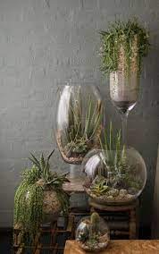 Fioriere con piante grasse decorate con cusci di frutti di mare : 50 Ottime Idee Su Appendere Piante Grasse Nel 2021 Appendere Piante Grasse Piante Piante Grasse