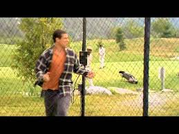 Read, review and discuss the entire happy gilmore movie script by tim herlihy on scripts.com. Hockey Player Goes Full Send Off Cliff