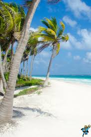 Cancun ist eine küstenstadt auf der halbinsel yucatán. Cancun Urlaub Reise Gunstig Buchen Cancun Urlaub Mexiko Urlaub Cancun