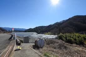 We did not find results for: Strawberry Picking Sanza Okano Orchard Yamanashi City Playing And Learning Yamanashi Porta