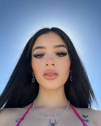 willow Reggaeton Remix