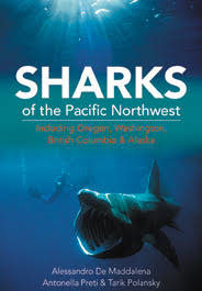 Pdf Sharks Of The Pacific Northwest Including Oregon Washington British Columbia And Alaska