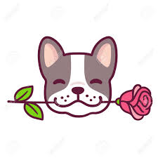 Download french bulldogs valentines day png image for free. Funny Cartoon French Bulldog Puppy Holding Rose In Mouth Cute Royalty Free Cliparts Vectors And Stock Illustration Image 110278182