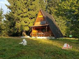 Orice hotel sau alt tip de cazare munte hotelul casa rozelor, paote reprezenta o optiune de cazare la munte pentru cei care iubesc eleganta si istoria; De Vanzare CabanÄƒ In Harghita Bucin Speedimobiliare Ro Apartamente Terenuri Case Garsoniere Inchirieri Vanzari Mures