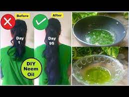 Regular massage with neem oil will encourage thick, strong and wonderful hair. Grandma S Secret Recipe For Double Hair Growth Grow Long Hair With Neem Oil For Dandruff Lice Youtube Grow Long Hair Neem Oil For Hair Hair Growth Oil