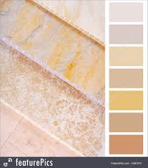 Picture Of Complimentary Color Palette Chart