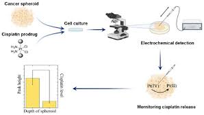 Image result for Cisplatin