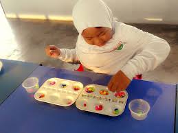 Cikgu Roha Menulis 2014
