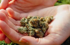 potent strains of kush