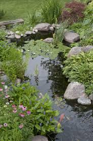 Landscape Edging Ideas For Water Features Garden Pond Design Water Gardens Pond Pond Landscaping
