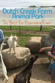 Best Zoo Experience Ever Dutch Creek Farm Animal Park Traveling Mom Travel Fun Indiana Travel Farm Animals
